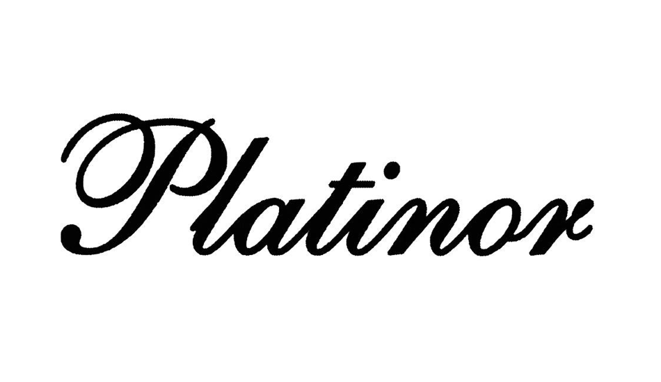 Логотип интернет-магазина Platinor