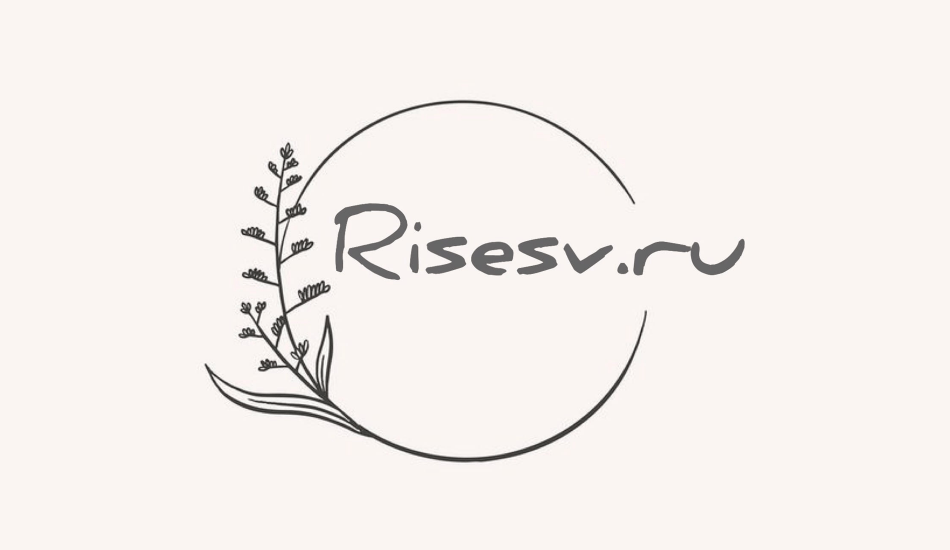Логотип интернет-магазина Rise