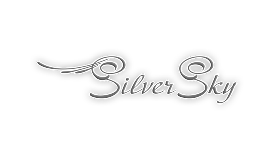 Логотип интернет-магазина Silver Sky
