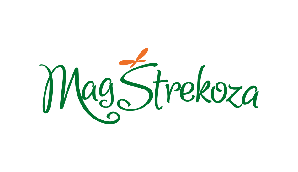 Логотип интернет-магазина MagStrekoza